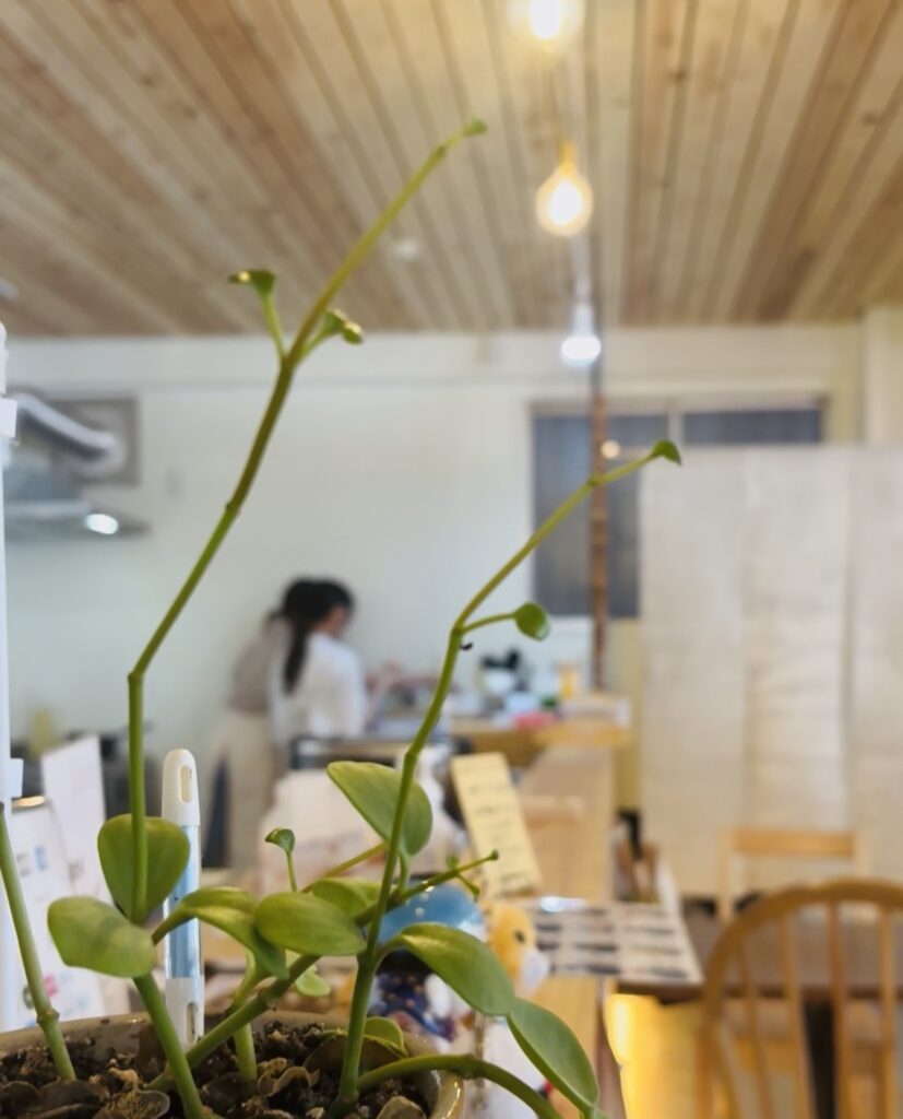 織はや店内